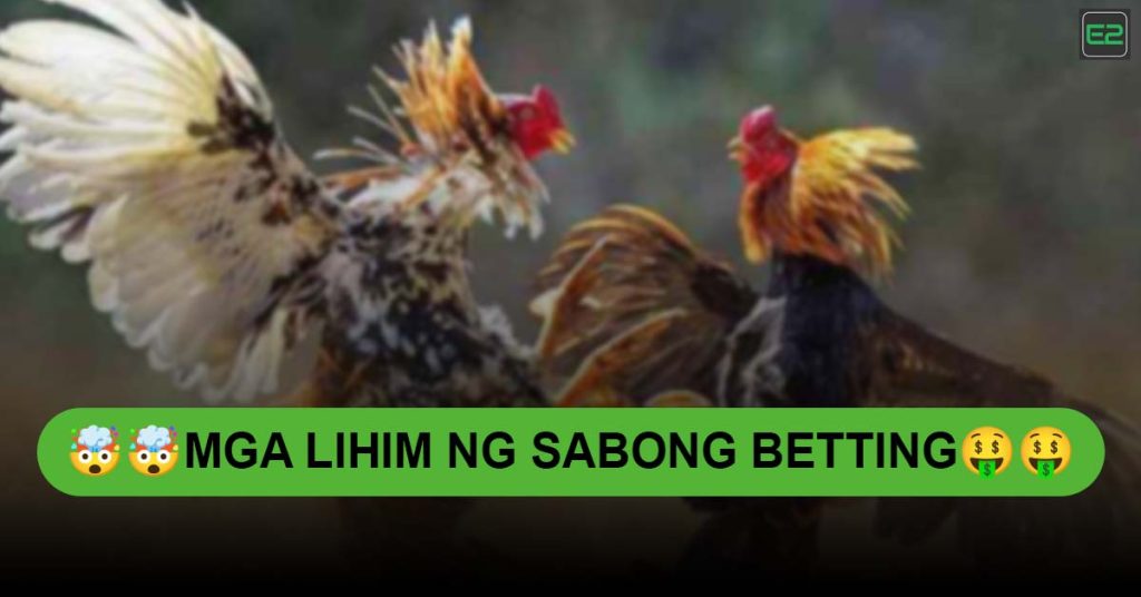 https://e2bet-philippines.org/pagtaya-sa-sabong-isang-gabay-sa-ligal-at-responsableng-pagsusugal/