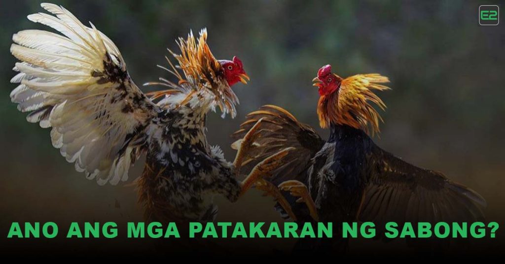 mga Patakaran ng Sabong