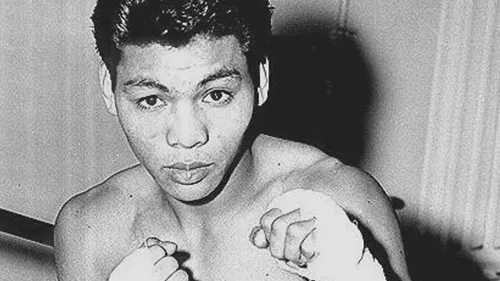 FILIPINO BOXERS